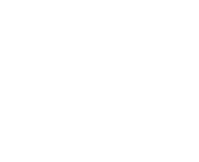 Loyal Skin Logo